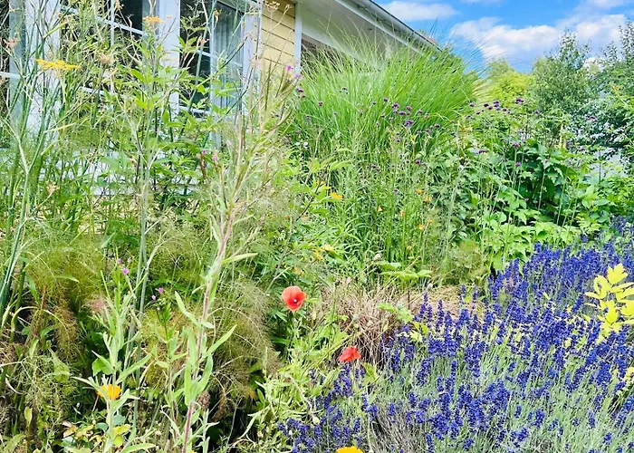 Himmelpfort בית נופש Pian